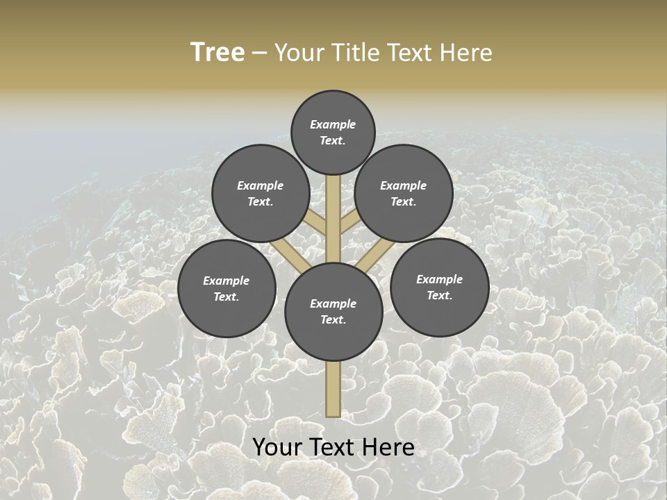Raja Ampat Environment Habitat PowerPoint Template