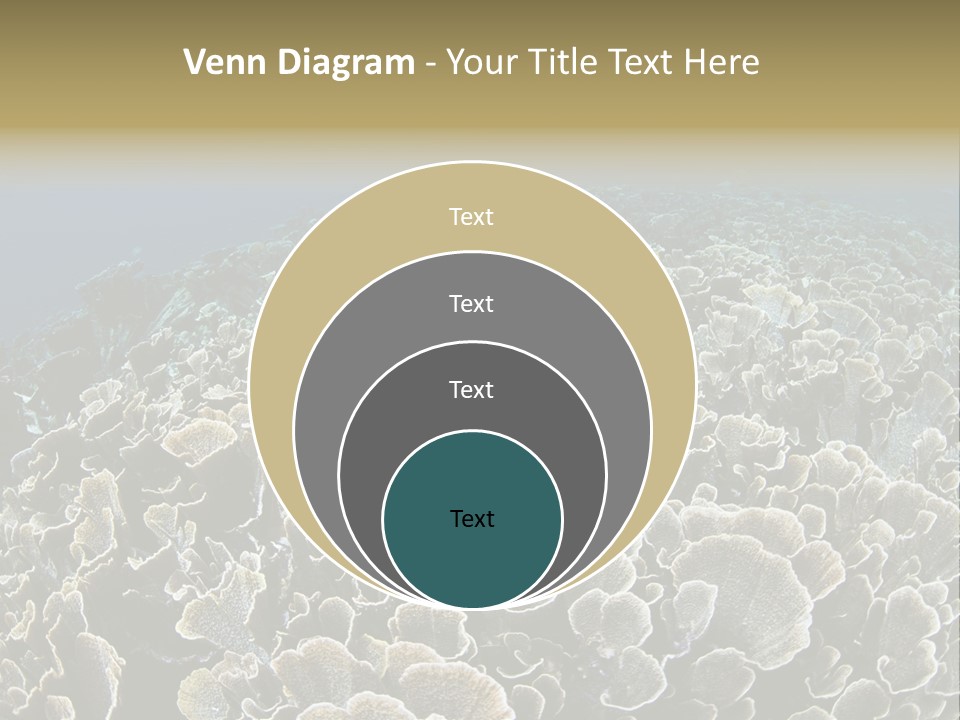Raja Ampat Environment Habitat PowerPoint Template