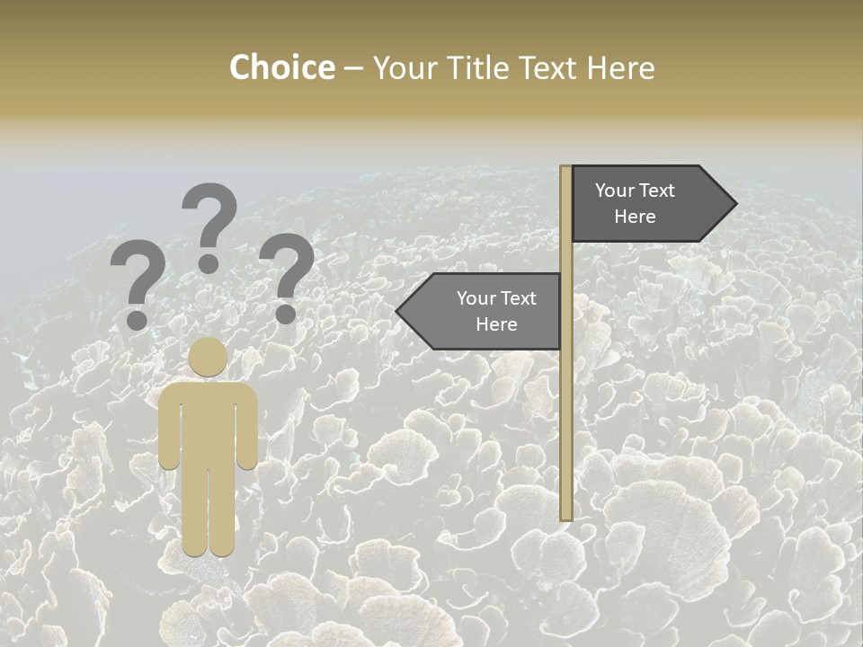 Raja Ampat Environment Habitat PowerPoint Template