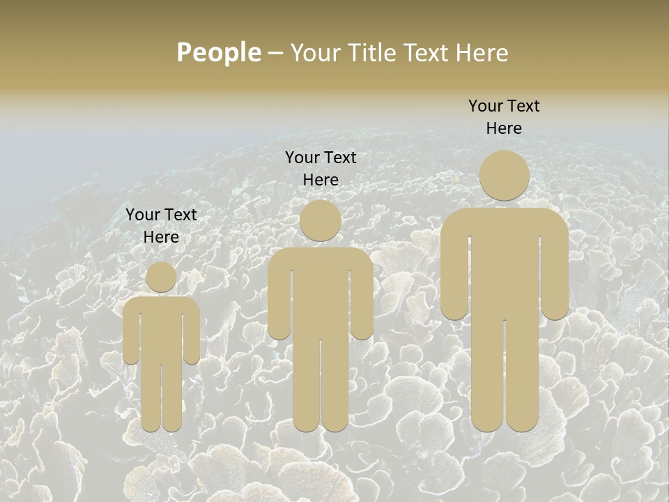 Raja Ampat Environment Habitat PowerPoint Template