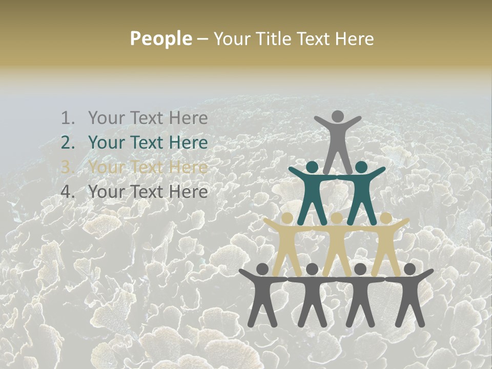 Raja Ampat Environment Habitat PowerPoint Template