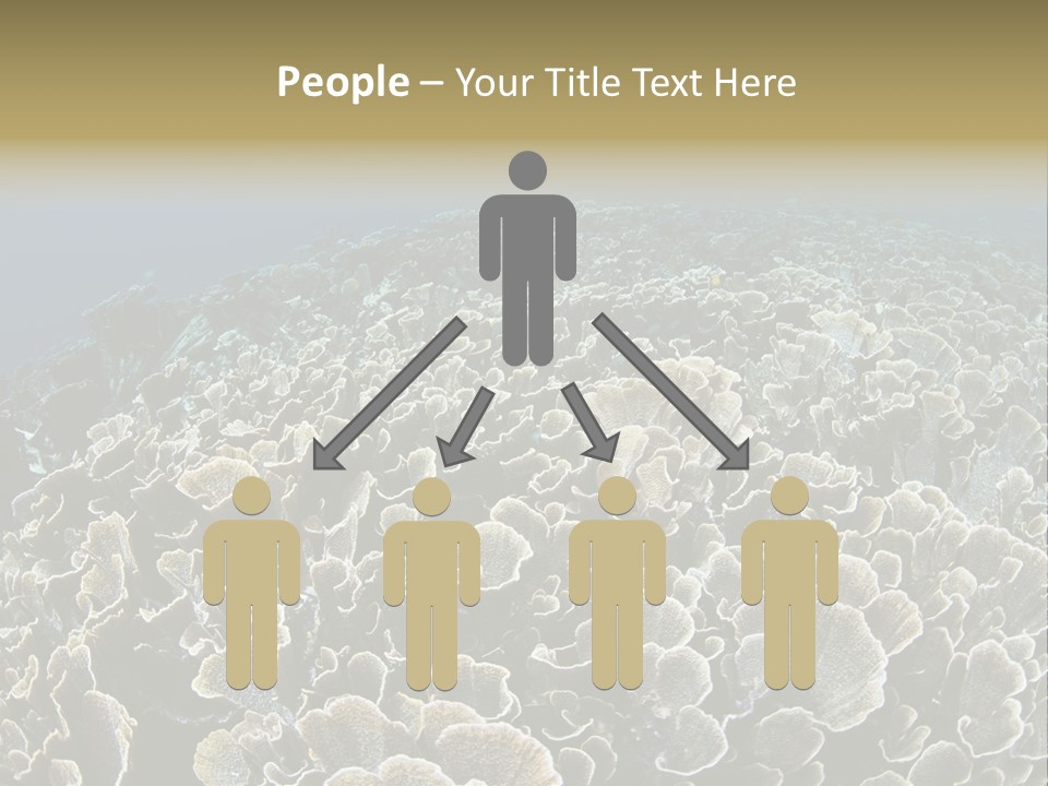 Raja Ampat Environment Habitat PowerPoint Template