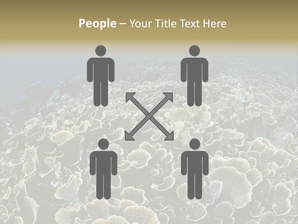 Raja Ampat Environment Habitat PowerPoint Template