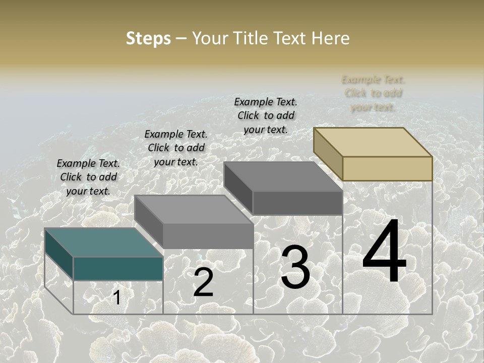 Raja Ampat Environment Habitat PowerPoint Template