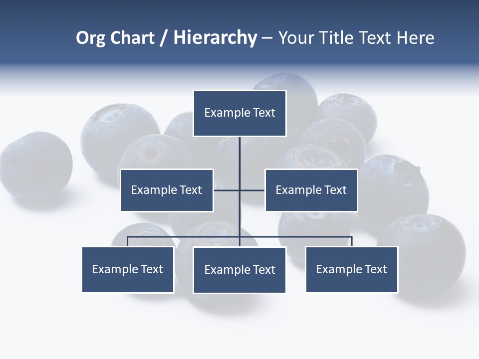 Cranberry Spring Strawberries PowerPoint Template