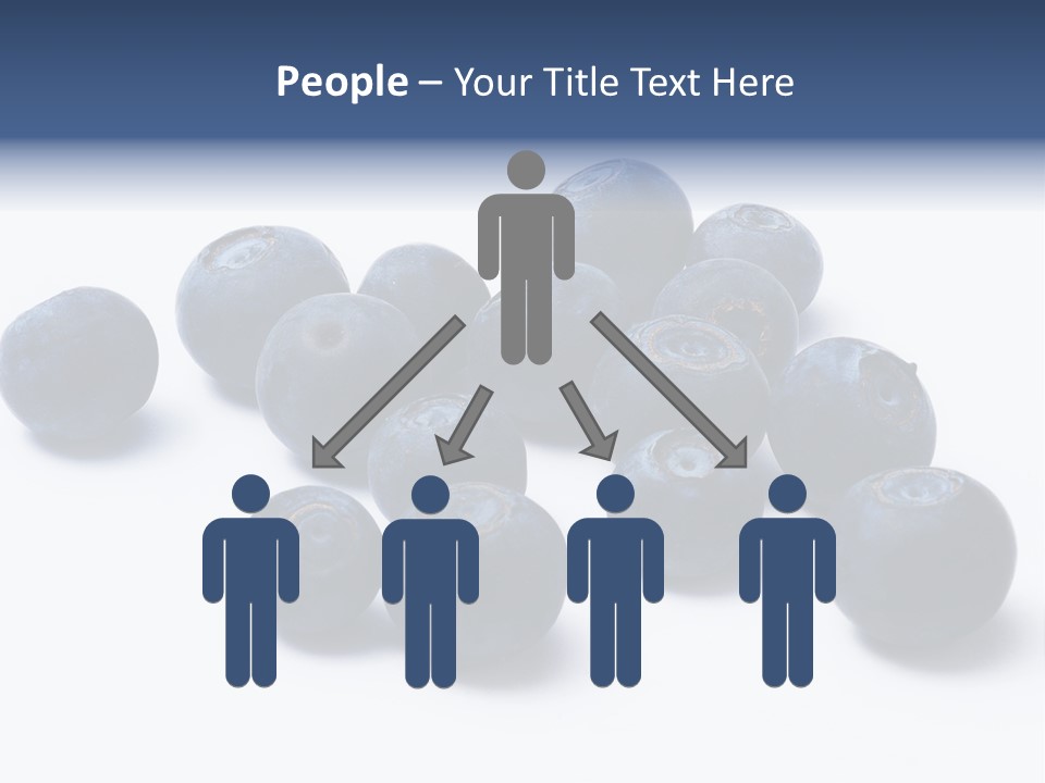 Cranberry Spring Strawberries PowerPoint Template