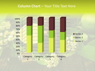 Bath Relaxation Harmony PowerPoint Template