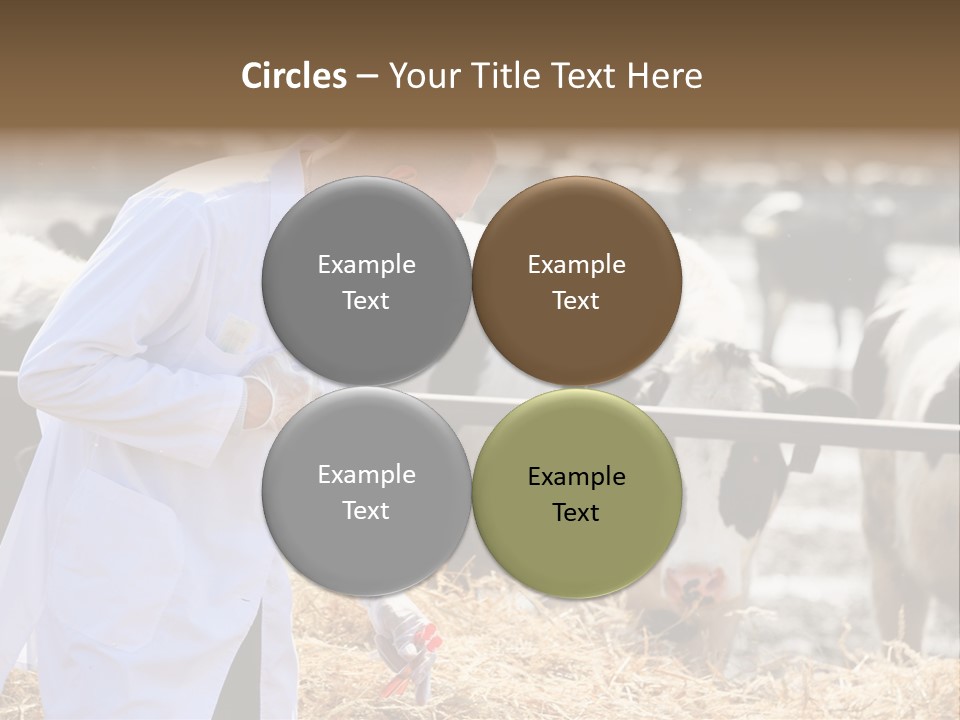 Man Tubes Checkup PowerPoint Template