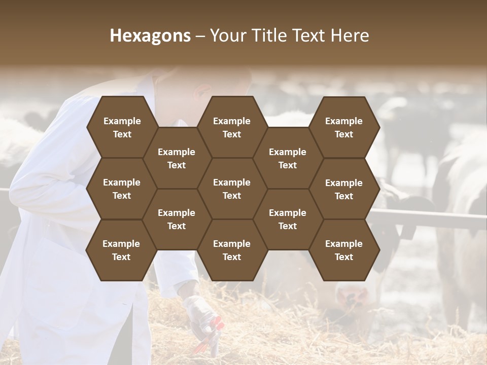 Man Tubes Checkup PowerPoint Template