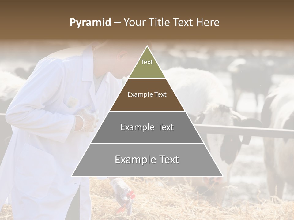 Man Tubes Checkup PowerPoint Template