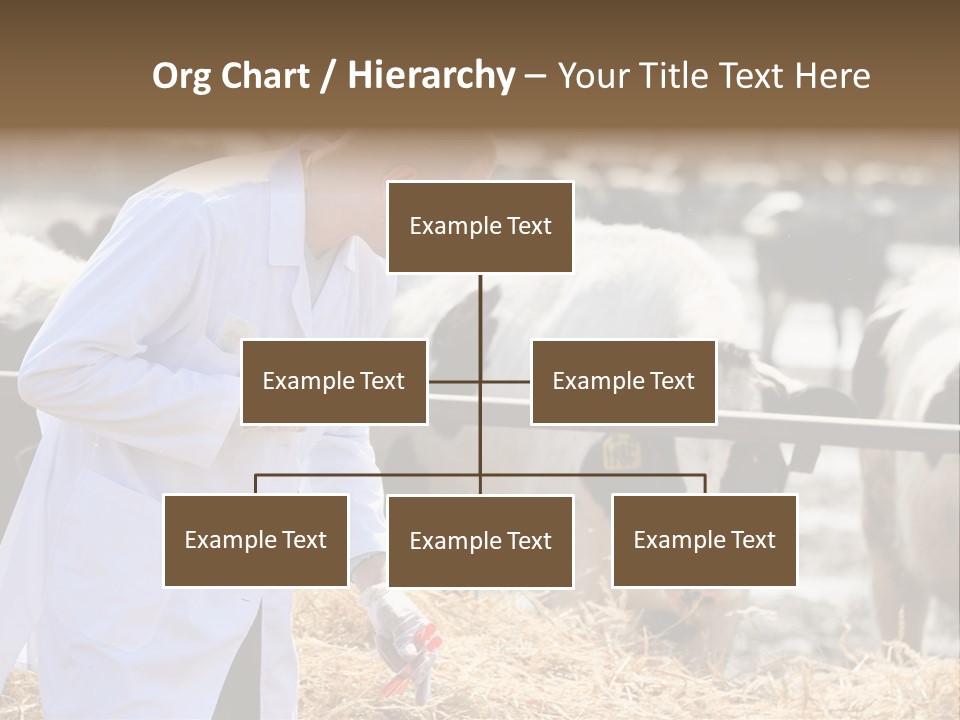 Man Tubes Checkup PowerPoint Template