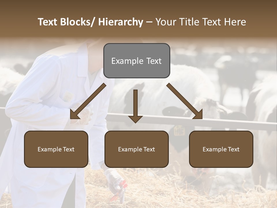 Man Tubes Checkup PowerPoint Template