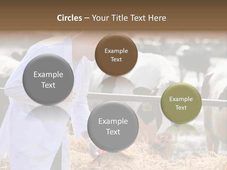 Man Tubes Checkup PowerPoint Template