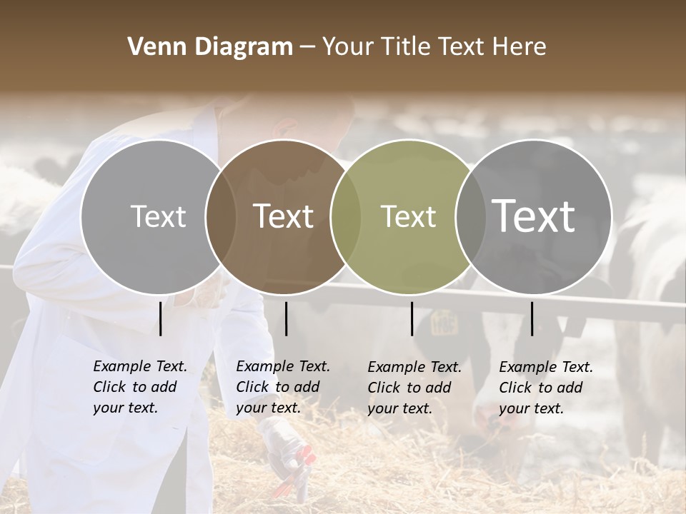 Man Tubes Checkup PowerPoint Template