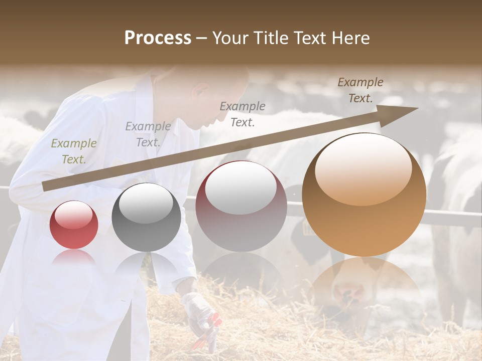 Man Tubes Checkup PowerPoint Template