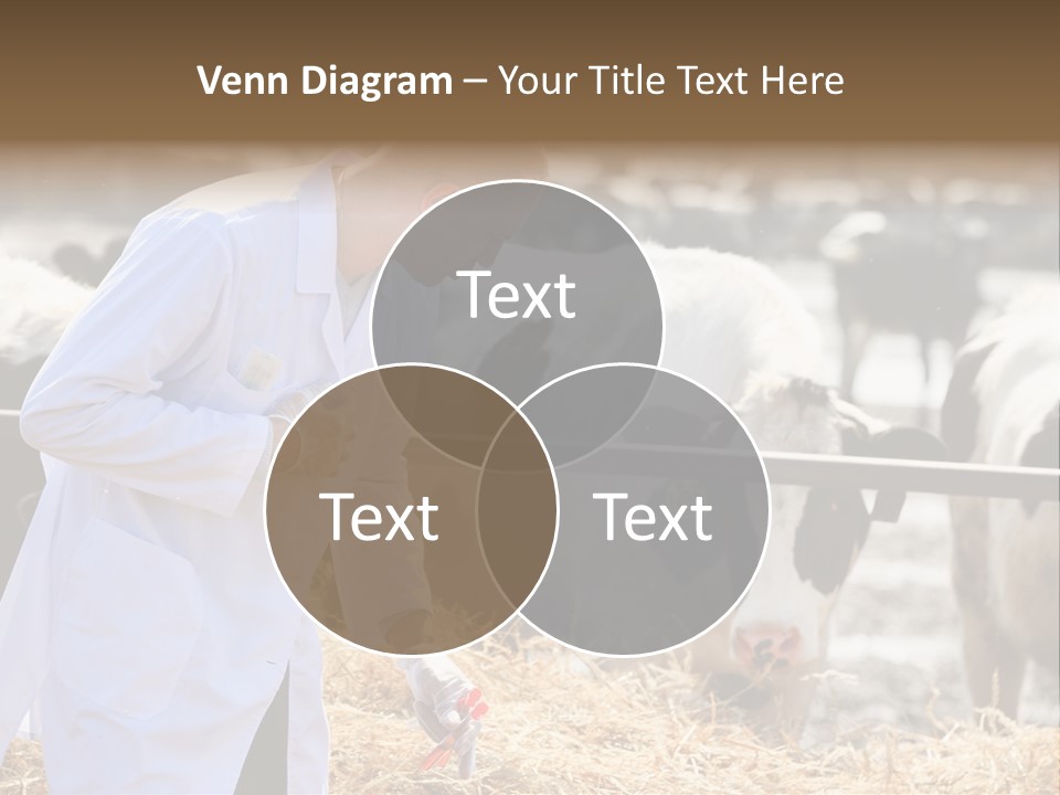 Man Tubes Checkup PowerPoint Template