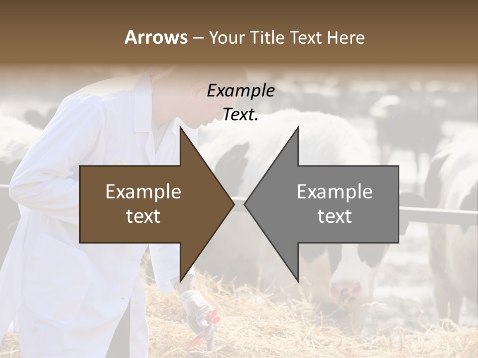 Man Tubes Checkup PowerPoint Template