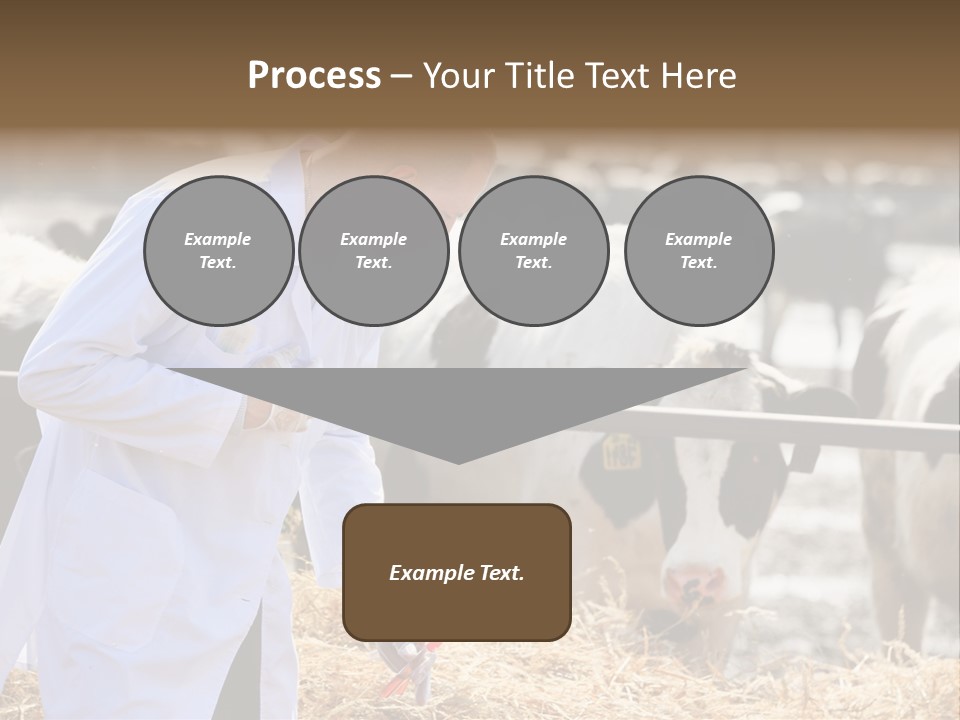 Man Tubes Checkup PowerPoint Template