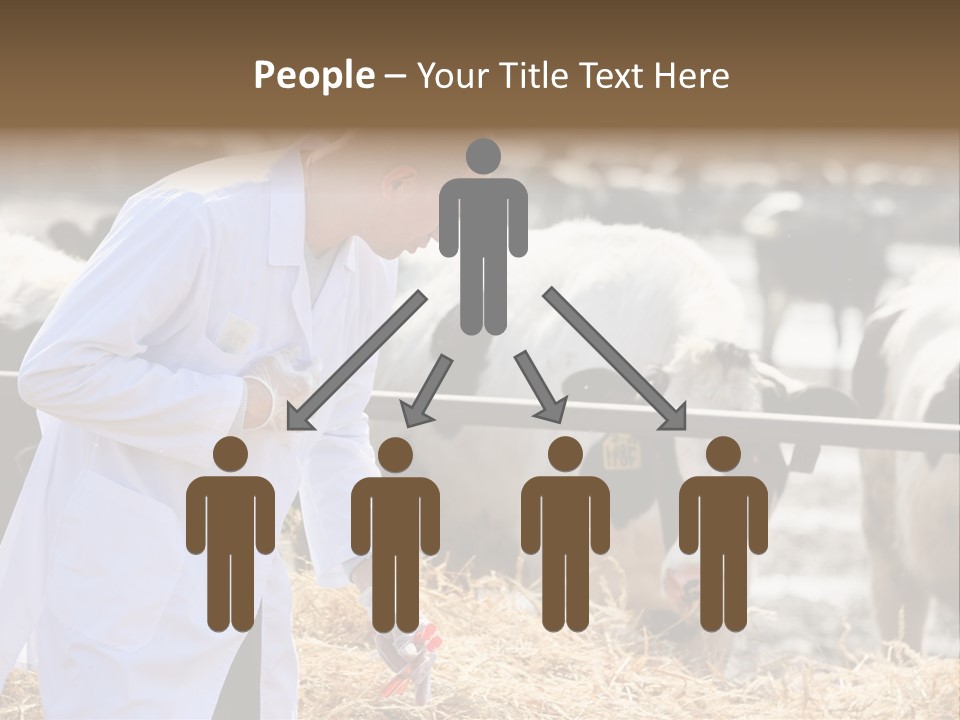 Man Tubes Checkup PowerPoint Template