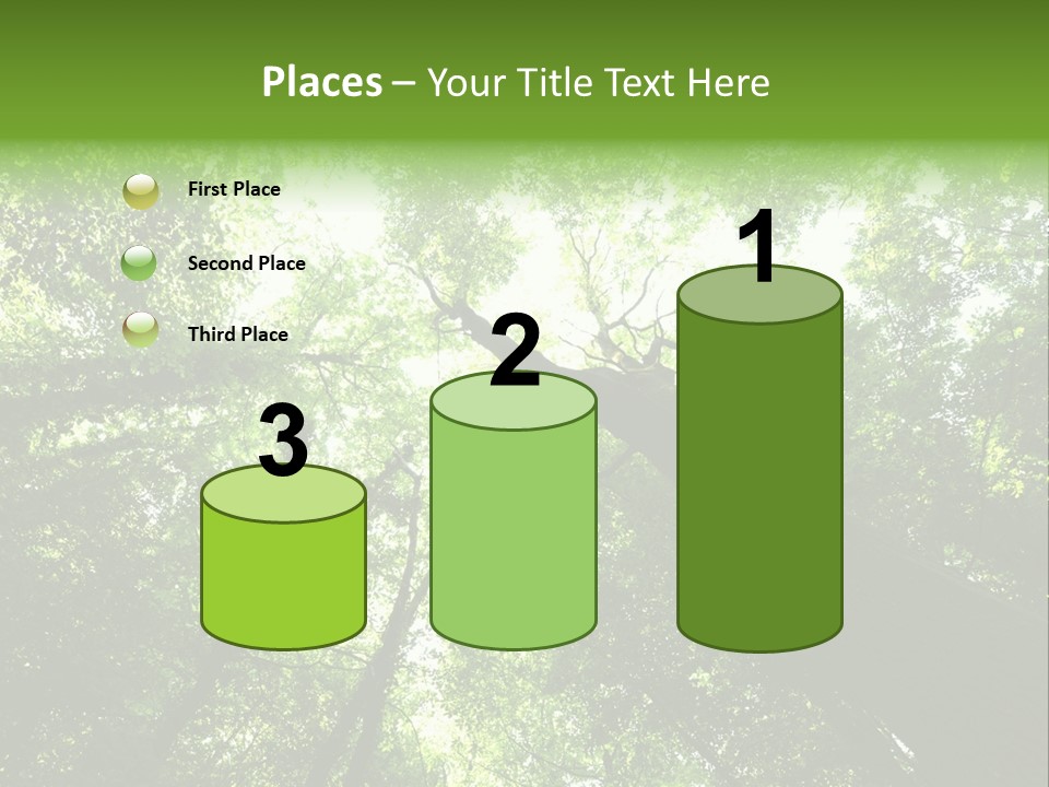 Branches Bark Green Wood PowerPoint Template