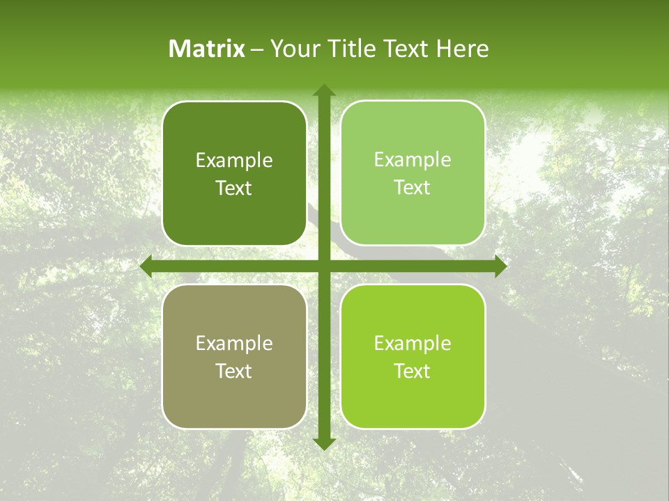 Branches Bark Green Wood PowerPoint Template