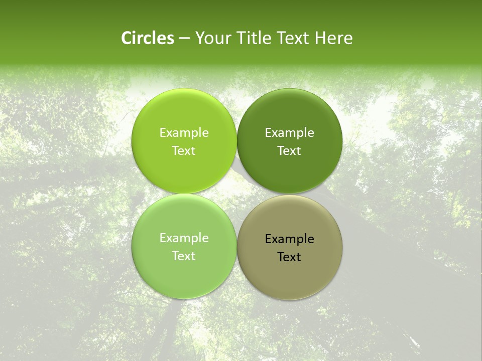 Branches Bark Green Wood PowerPoint Template