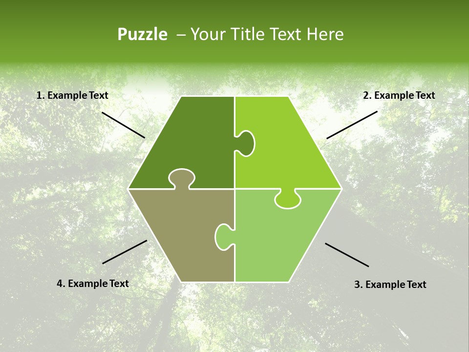 Branches Bark Green Wood PowerPoint Template