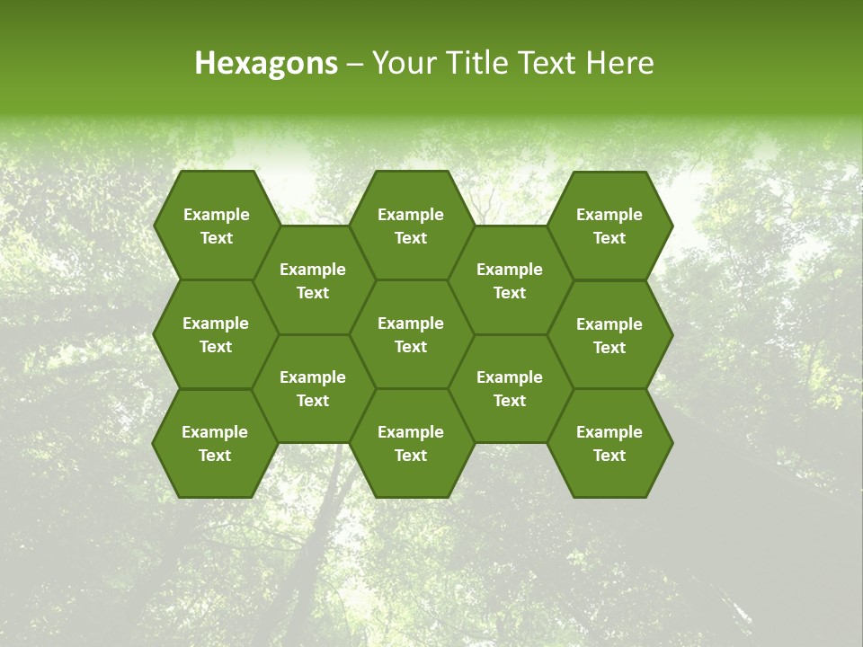 Branches Bark Green Wood PowerPoint Template