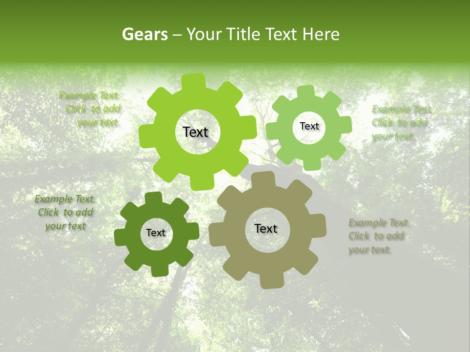 Branches Bark Green Wood PowerPoint Template