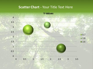 Branches Bark Green Wood PowerPoint Template