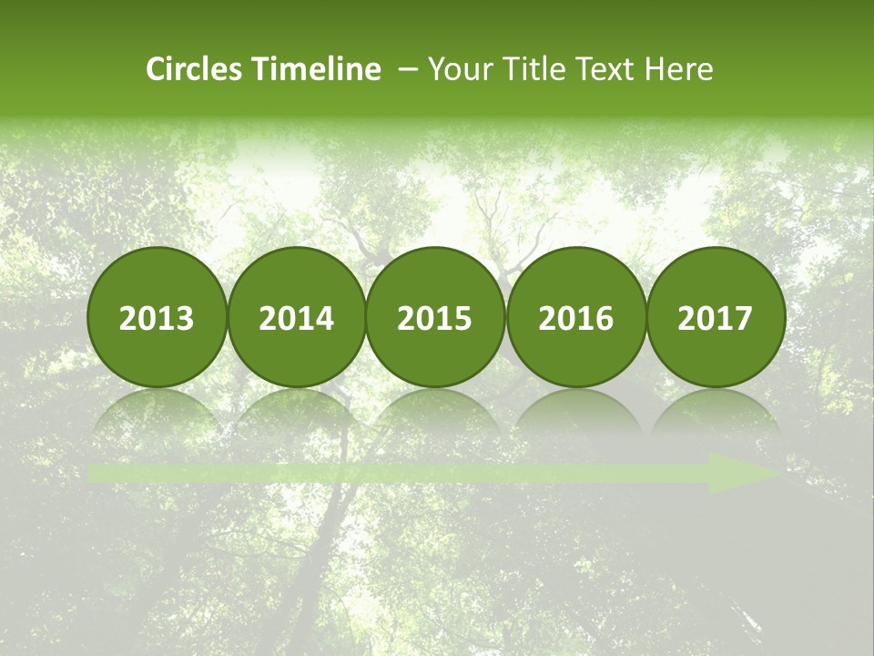 Branches Bark Green Wood PowerPoint Template