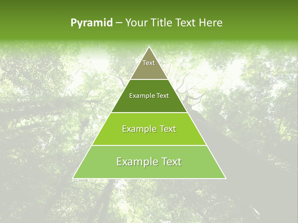 Branches Bark Green Wood PowerPoint Template