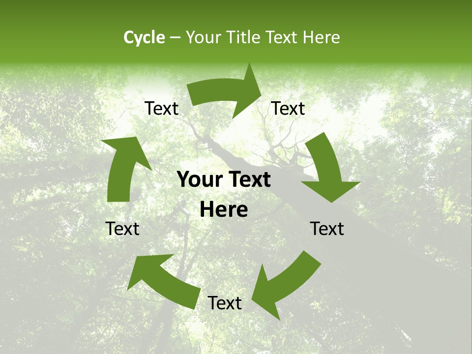 Branches Bark Green Wood PowerPoint Template