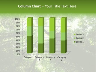 Branches Bark Green Wood PowerPoint Template