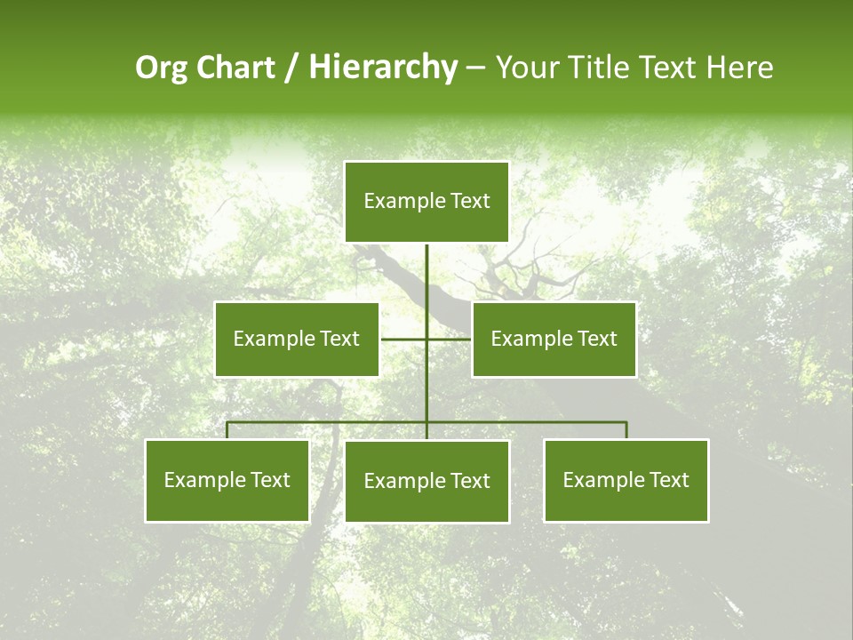 Branches Bark Green Wood PowerPoint Template