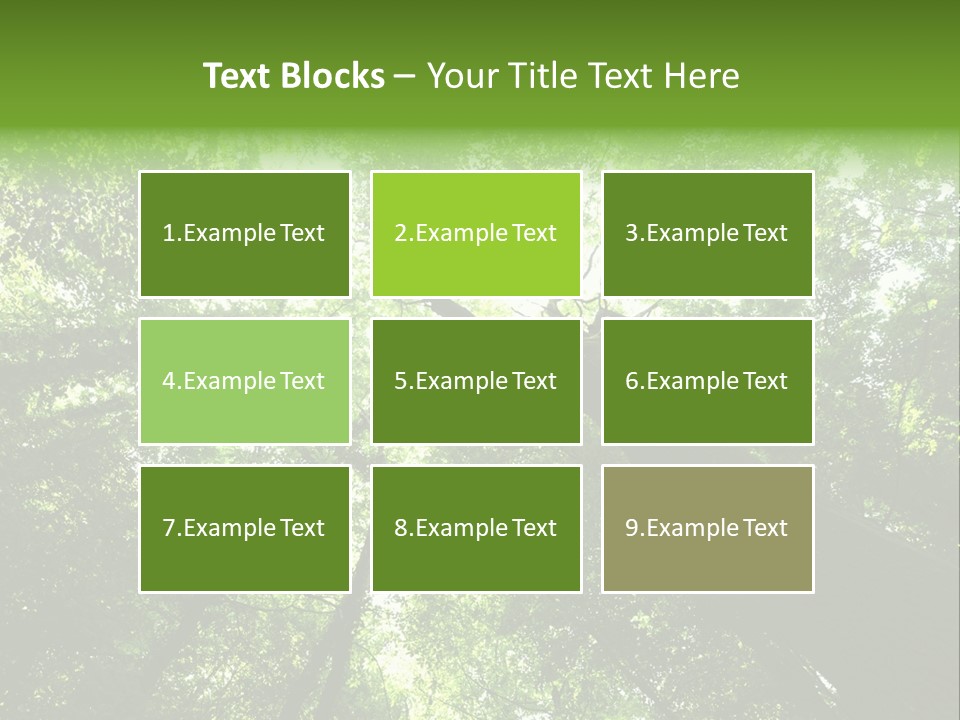 Branches Bark Green Wood PowerPoint Template