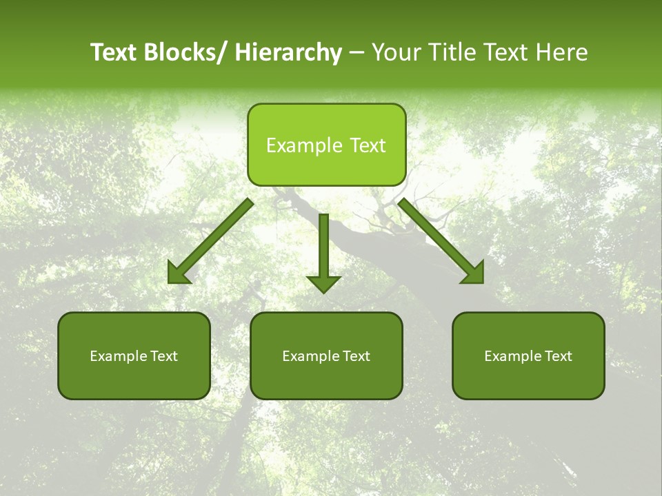 Branches Bark Green Wood PowerPoint Template