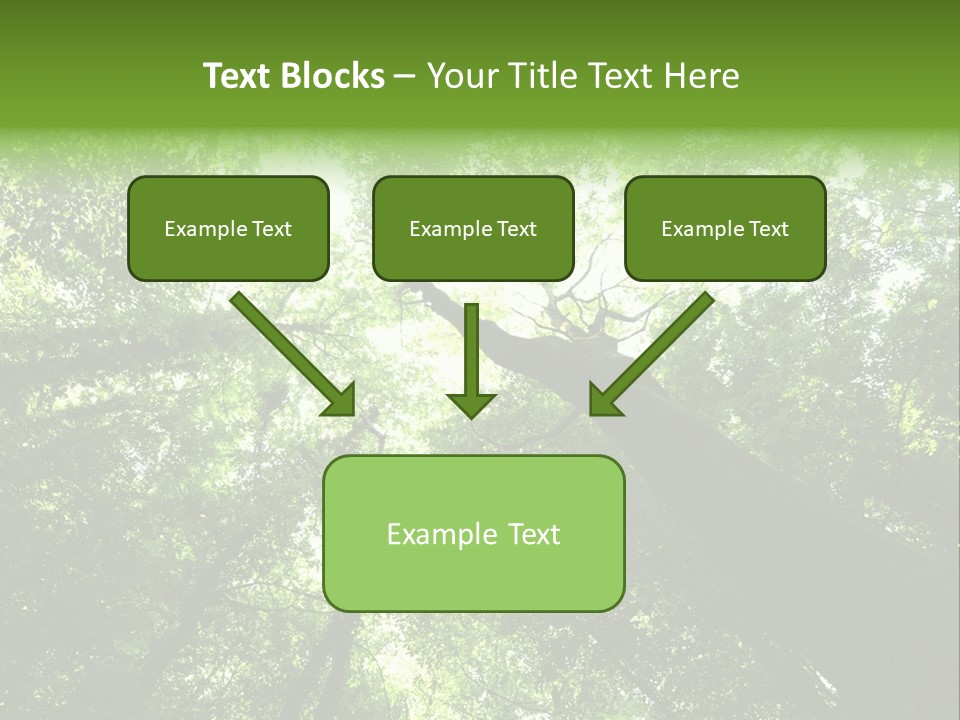 Branches Bark Green Wood PowerPoint Template