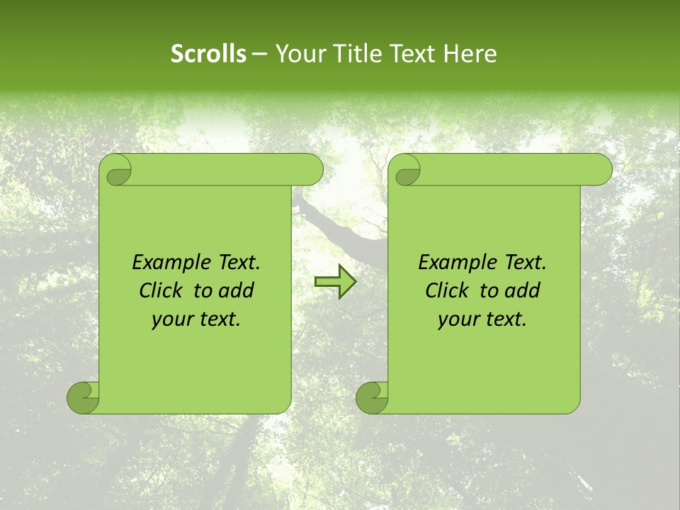 Branches Bark Green Wood PowerPoint Template