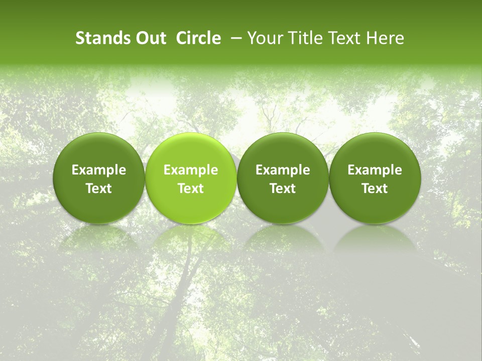 Branches Bark Green Wood PowerPoint Template
