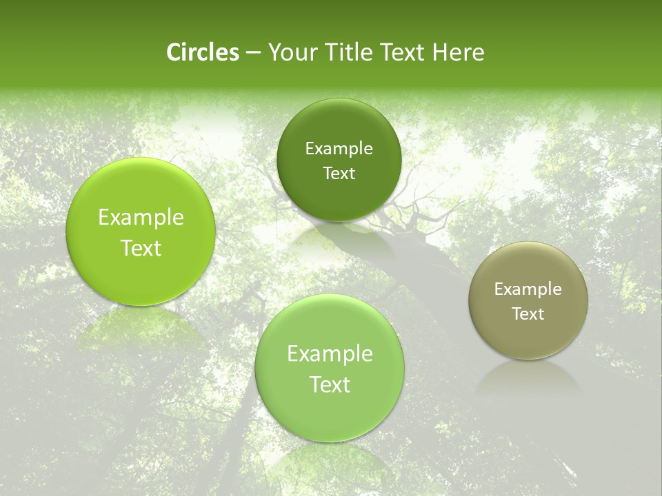 Branches Bark Green Wood PowerPoint Template