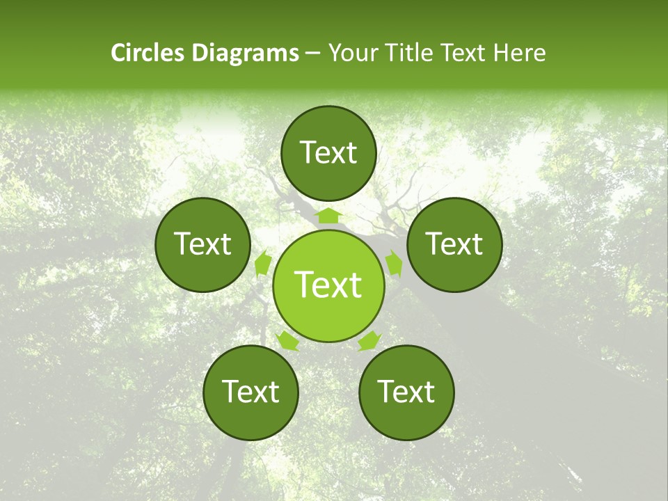 Branches Bark Green Wood PowerPoint Template