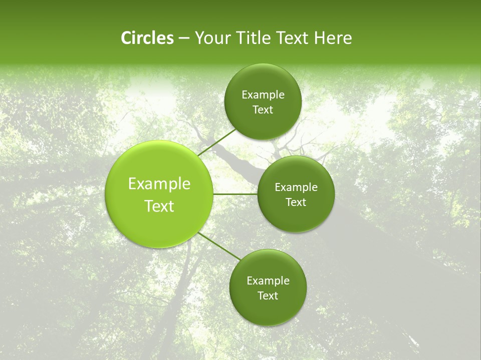 Branches Bark Green Wood PowerPoint Template