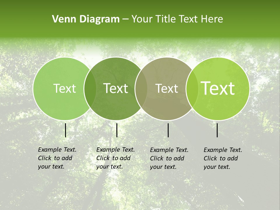 Branches Bark Green Wood PowerPoint Template