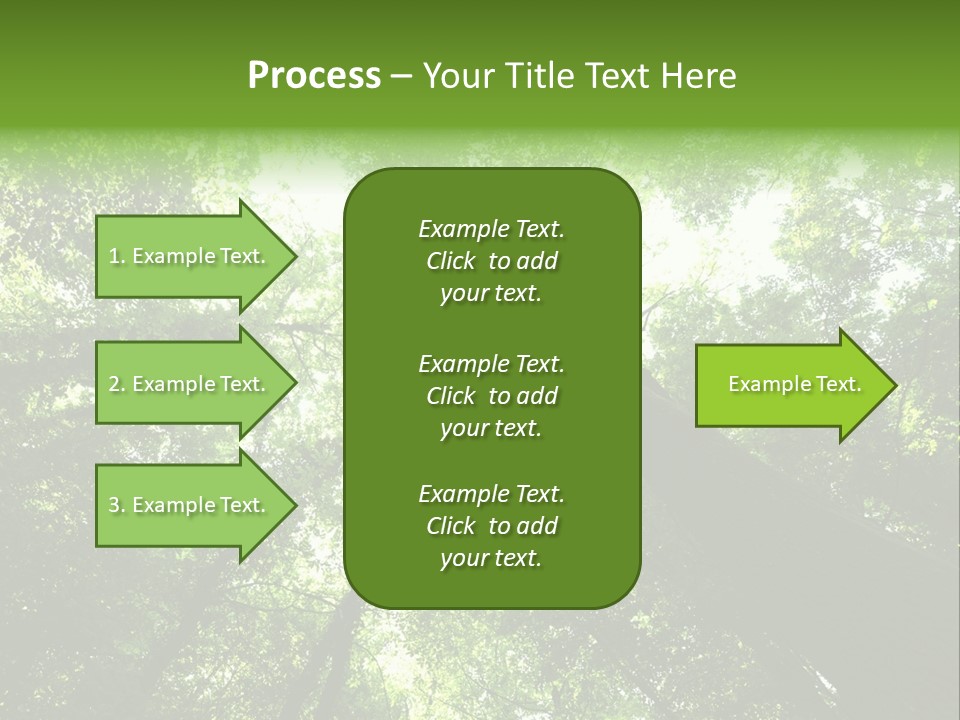 Branches Bark Green Wood PowerPoint Template