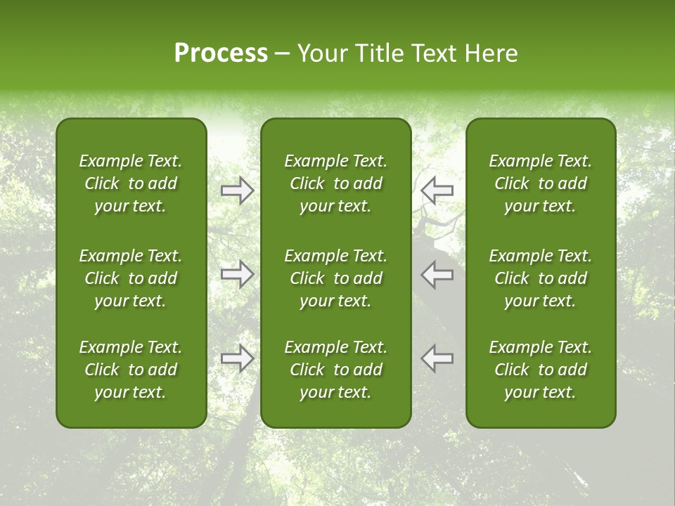 Branches Bark Green Wood PowerPoint Template