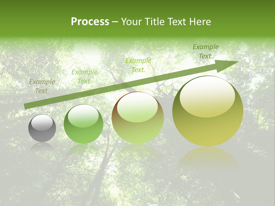 Branches Bark Green Wood PowerPoint Template