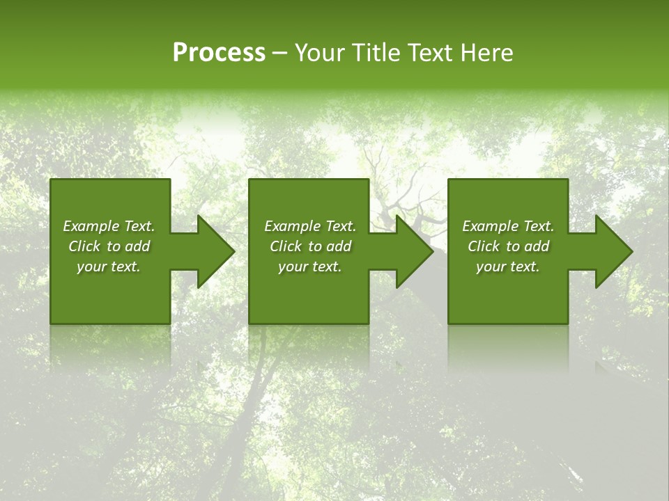 Branches Bark Green Wood PowerPoint Template