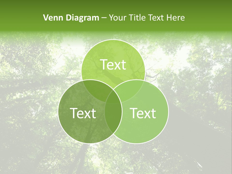Branches Bark Green Wood PowerPoint Template