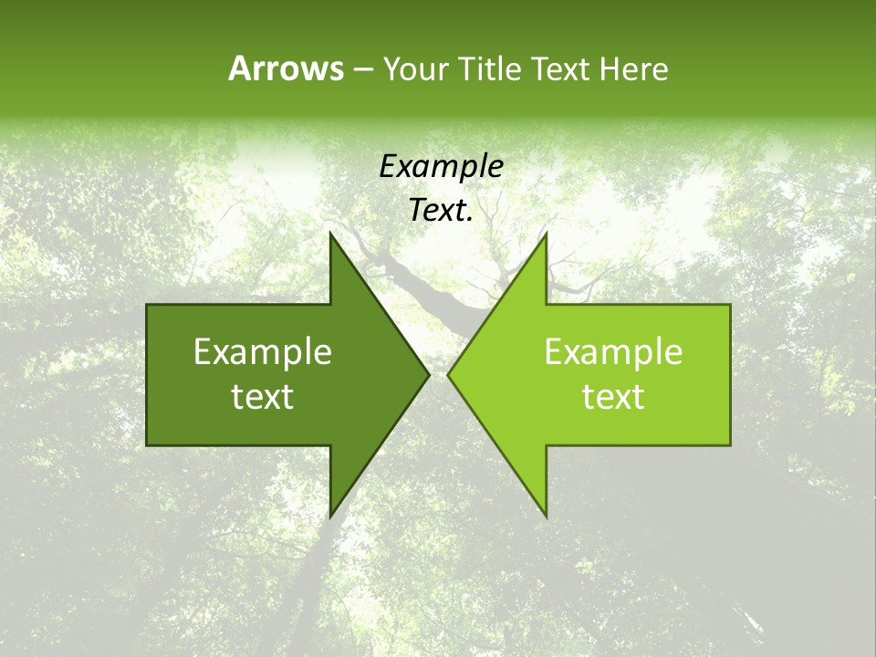 Branches Bark Green Wood PowerPoint Template